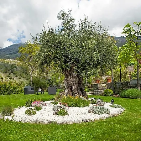 Bed & Breakfast Al Colle Pescosolido