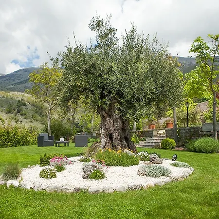 Bed & Breakfast Al Colle